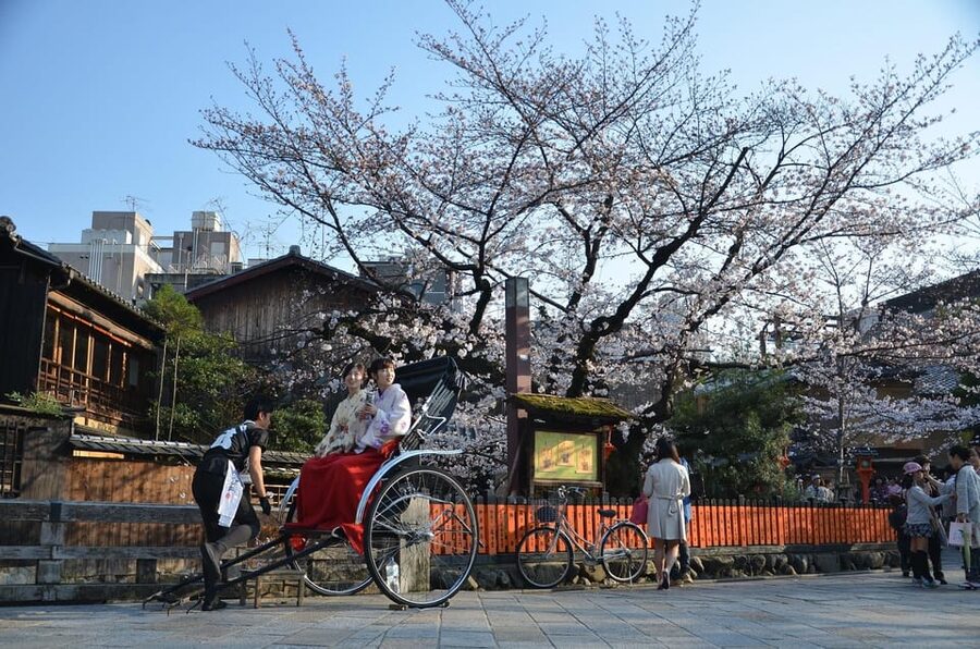 From Osaka: Private Customized Day Tour to Kyoto - Driver communication and the self-guided format