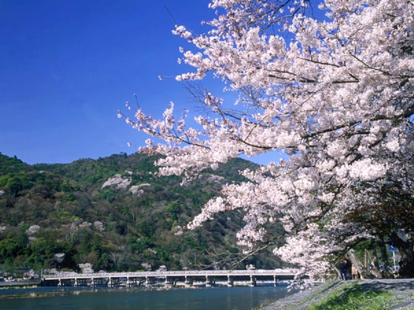 From Osaka: Sagano Train Ride and Kyoto Guided Day Tour - Key points at a glance