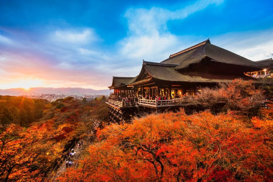 From Osaka: Sagano Train Ride and Kyoto Guided Day Tour - Arashiyama and the Sagano Bamboo Forest