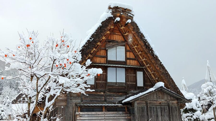 From Takayama: Guided Day Trip to Takayama and Shirakawa-go - Why this Takayama and Shirakawa-go pairing works