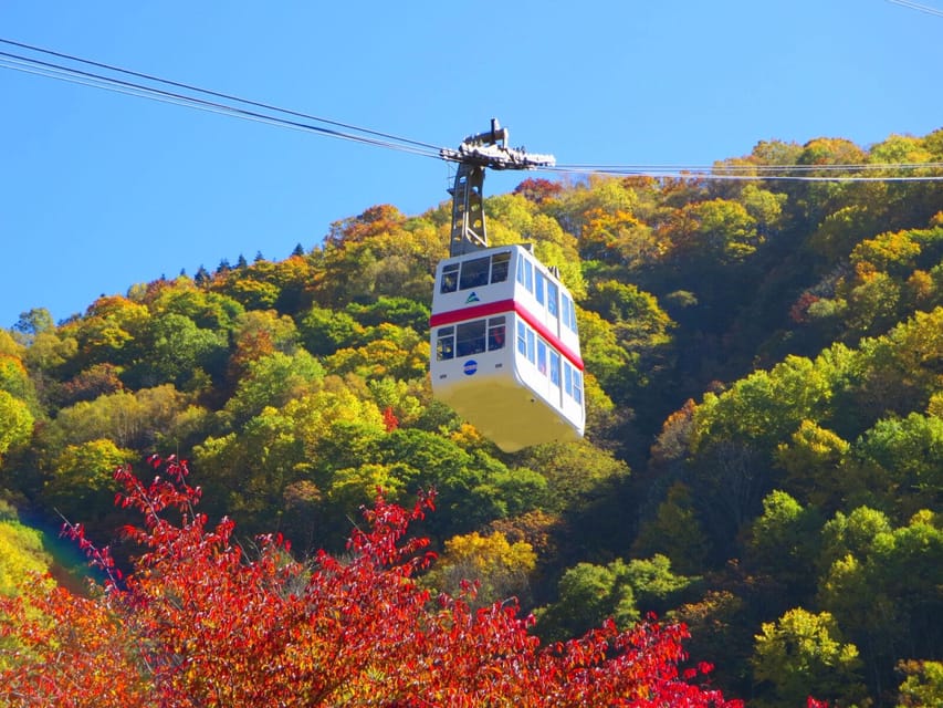From Takayama: Shinhotaka Ropeway and Kamikochi tour - Why this makes a strong day trip from Takayama