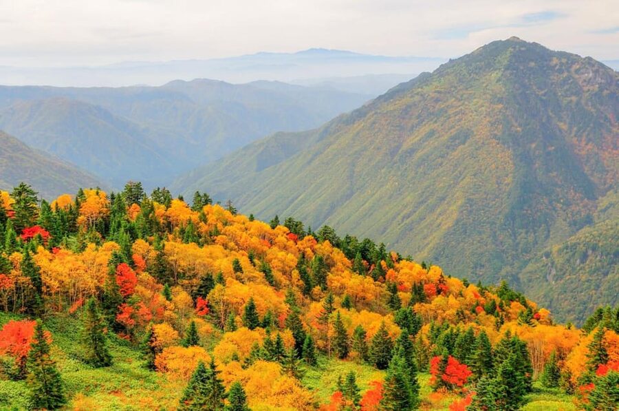 From Takayama: Shinhotaka Ropeway and Kamikochi tour - The alpine park at the upper station