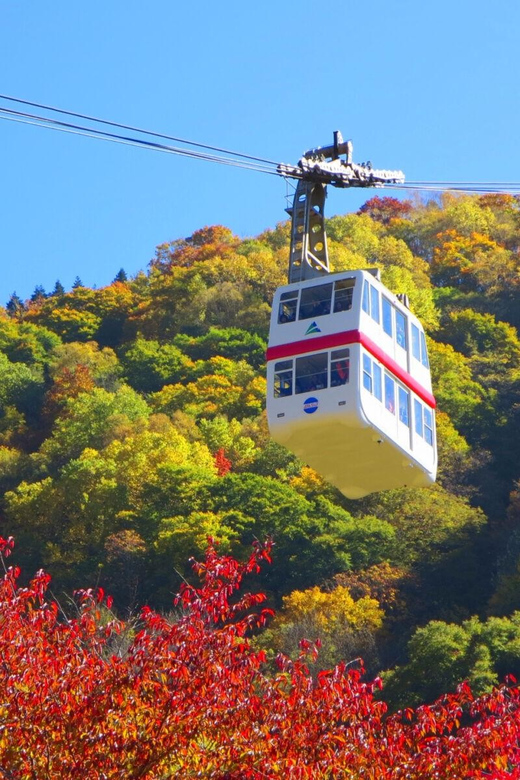 From Takayama: Shinhotaka Ropeway and Kamikochi tour - What the $211 price really covers
