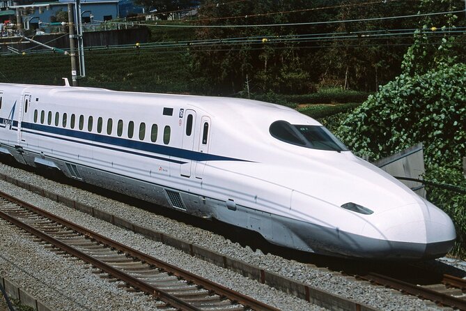 From Tokyo 1-Day Kyoto English-guided Tour by Bullet Train - What the $452.45 price really covers