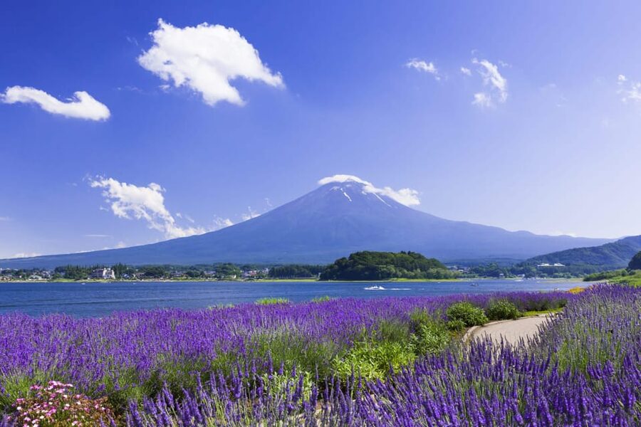 From Tokyo: Fuji Mountain Area - FujiQ - Lake Kawaguchiko - Chureito Pagoda - A private route from Tokyo to Fuji country