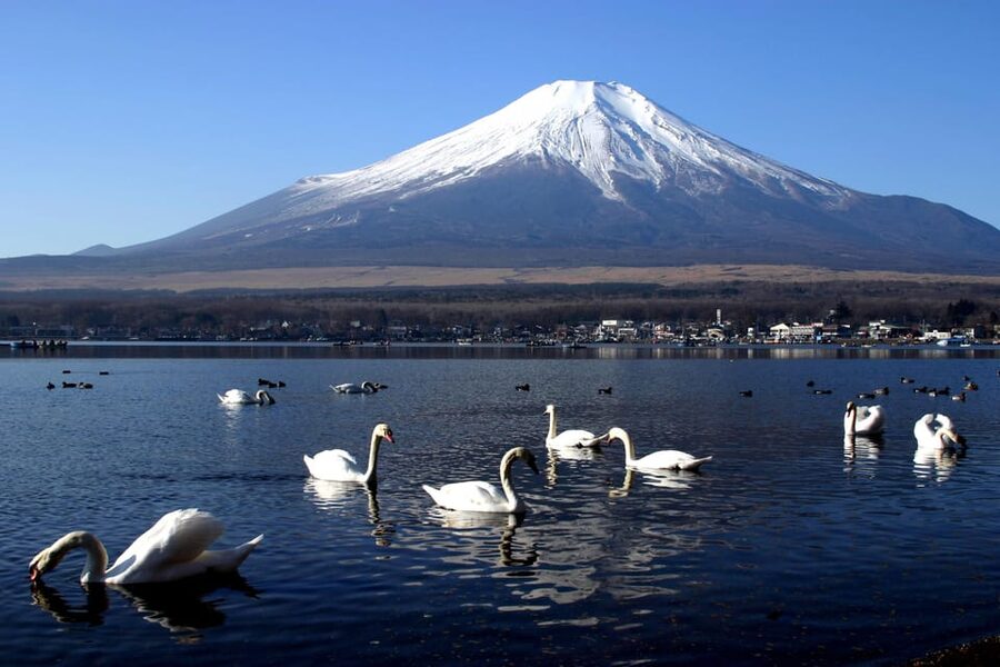 From Tokyo: Fuji Mountain Area - FujiQ - Lake Kawaguchiko - Chureito Pagoda - Lake Kawaguchiko, water and optional rides