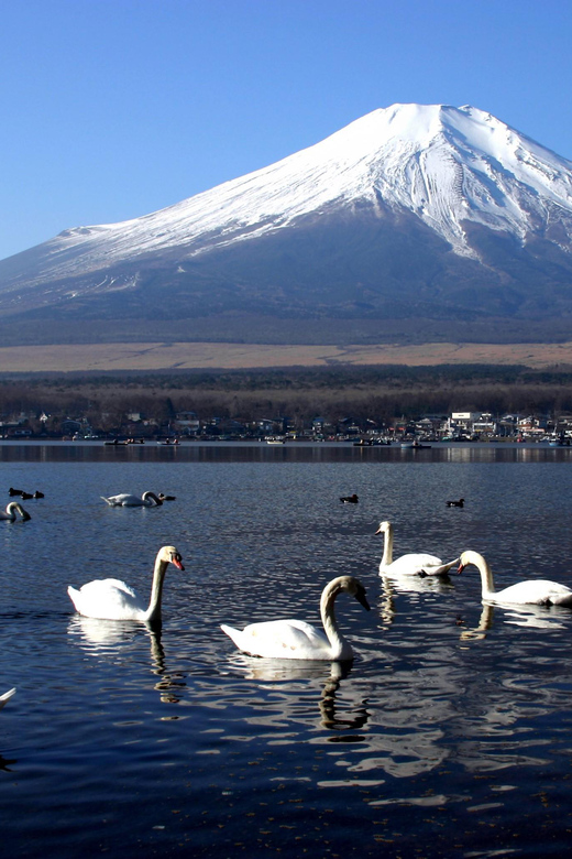 From Tokyo: Fuji Mountain Area - FujiQ - Lake Kawaguchiko - Chureito Pagoda - Why the private vehicle changes the value