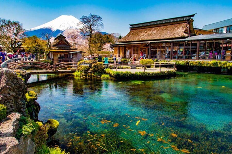 From Tokyo: Fuji Mountain Area - FujiQ - Lake Kawaguchiko - Chureito Pagoda - Oishi Park and the first clear Fuji view