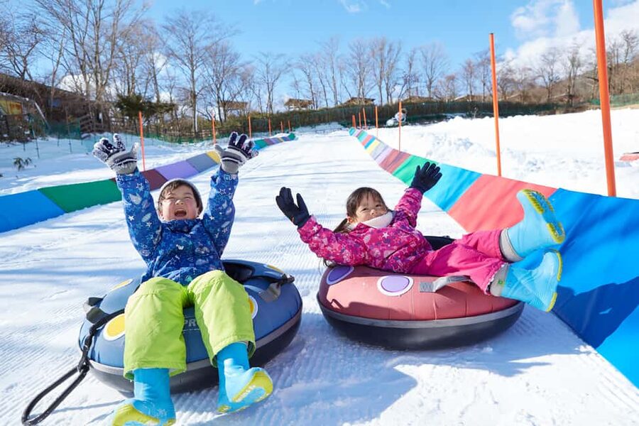 From Tokyo: Fujiyama Snow Resort Yeti Winter Ski Day Tour - Choosing the right package