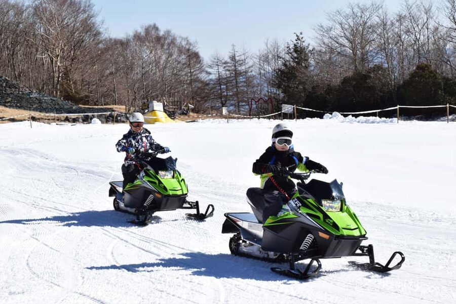 From Tokyo: Fujiyama Snow Resort Yeti Winter Ski Day Tour - What the beginner lesson really covers
