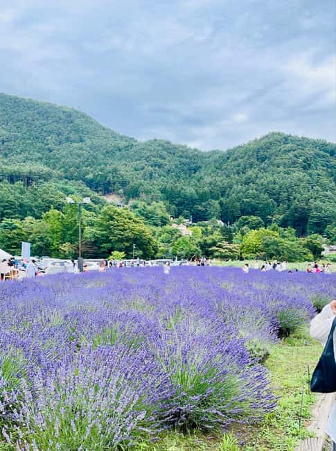 From Tokyo: Full-Day Mount Fuji Tour in English or Spanish - Arakura Shrine and the story of the sacred mountain