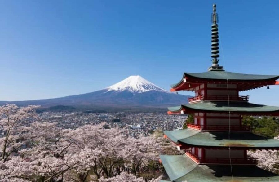 From Tokyo: Full-Day Mount Fuji Tour in English or Spanish - Honcho Street and the straight-on Fuji view
