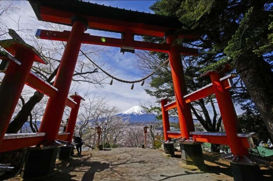 From Tokyo: Full-Day Mount Fuji Tour in English or Spanish - Chureito Pagoda and the 400-step choice