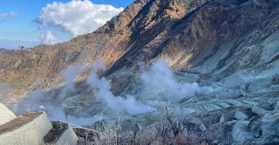 From Tokyo: Hakone Full Day Customizable Private Tour - Why a private car makes Hakone easier