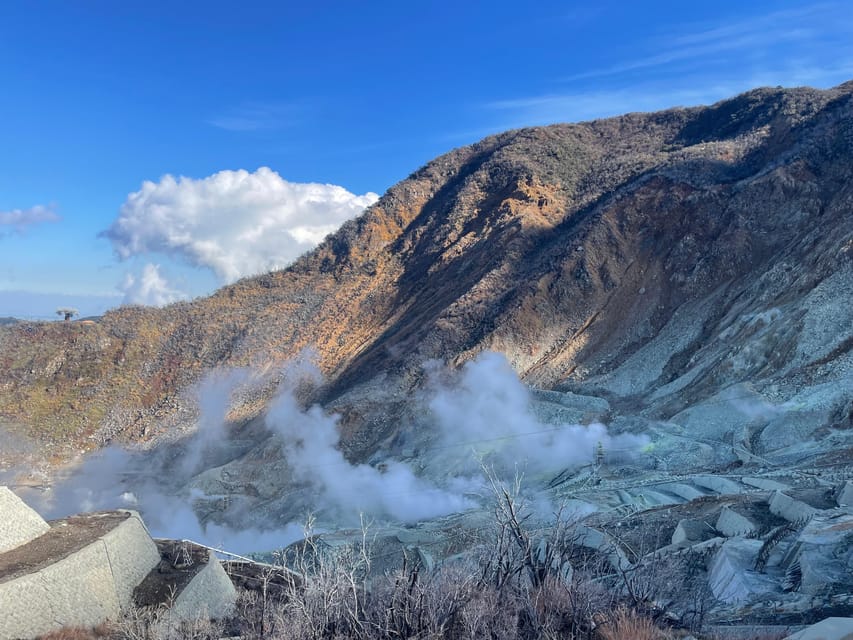 From Tokyo: Hakone Full Day Customizable Private Tour - Fuji Hakone Izu National Park