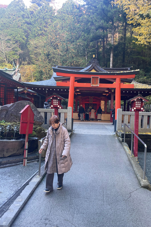 From Tokyo: Hakone Full Day Customizable Private Tour - The Hakone Ropeway and route changes