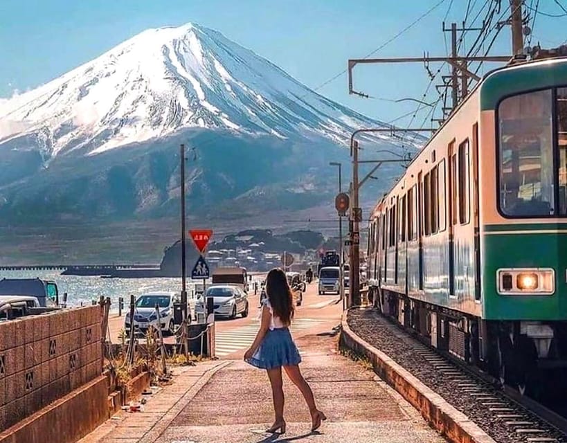 From Tokyo: Kamakura and Enoshima Full-Day Private Trip - Hase-dera combines gardens and coastal views