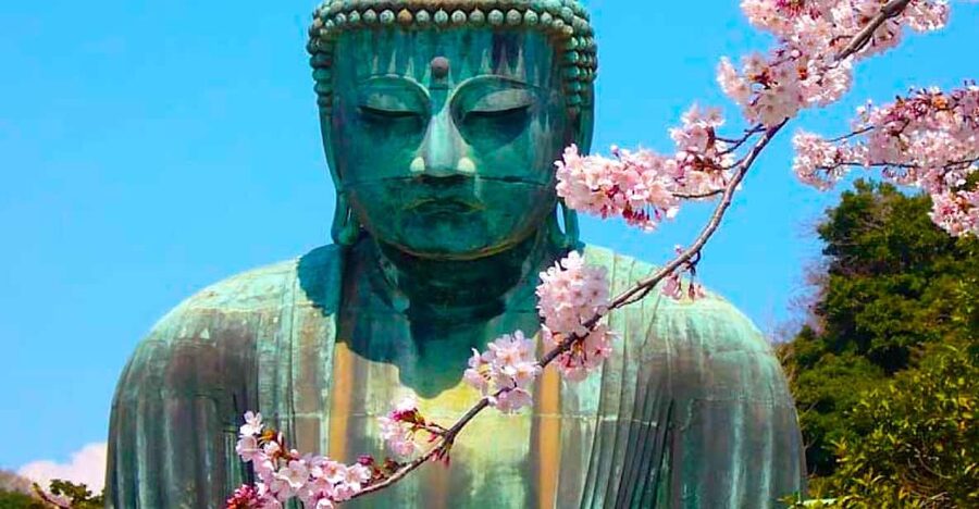 From Tokyo: Kamakura and Enoshima Full-Day Private Trip - An 8:30 pickup and a private ride south