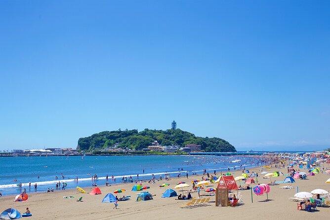 From Tokyo: Kamakura & Enoshima 1-Day Bus Tour - Lunch takes planning