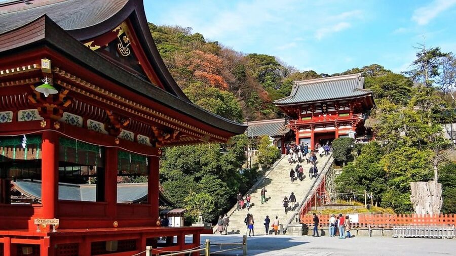 From Tokyo: Kamakura Full Day Tour with a Local Expert Guide - Shrines, Zen temples, and gardens