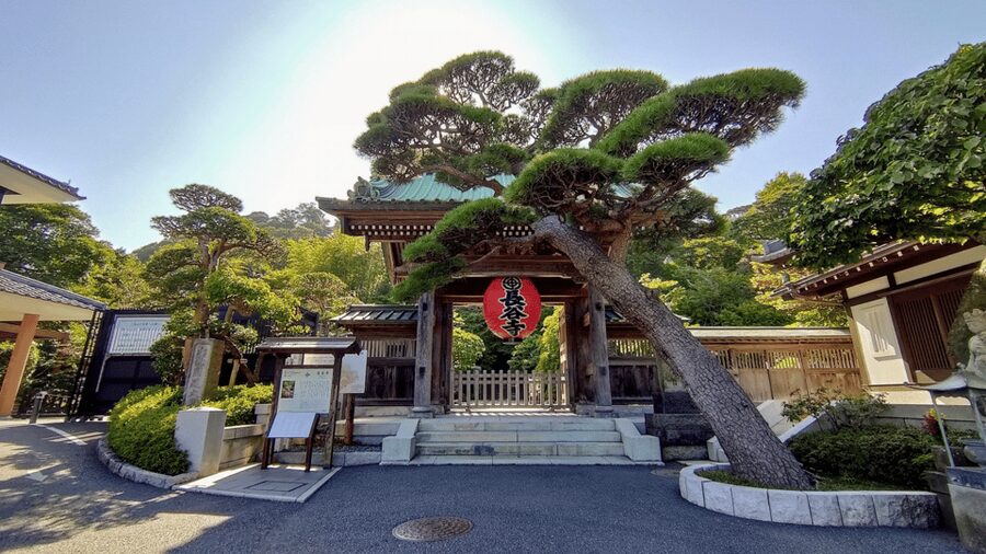 From Tokyo: Kamakura Full Day Tour with a Local Expert Guide - Is $116 a fair price?