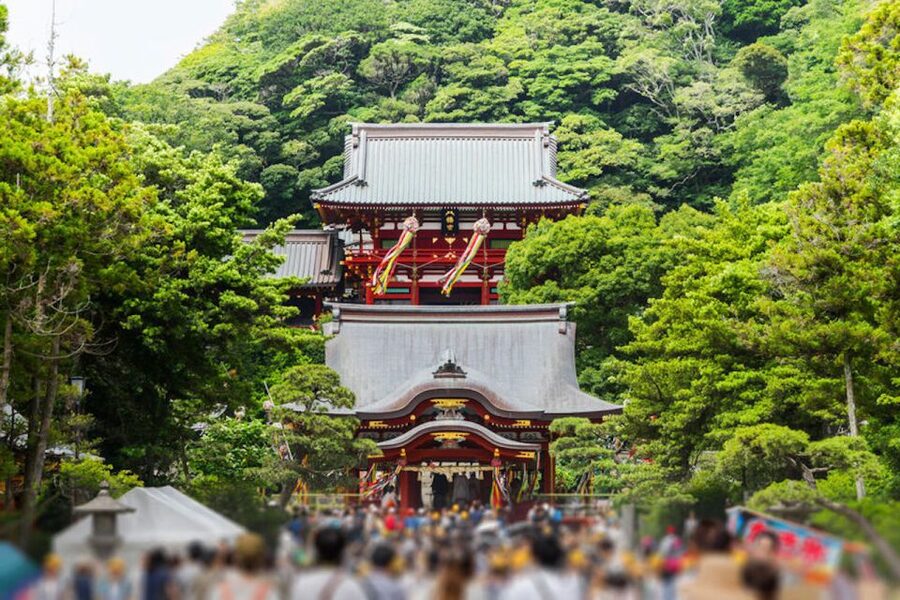 From Tokyo: Kamakura Private Customize Tour by Luxury Van - Optional stops for pop-culture fans