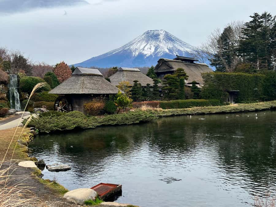From Tokyo: Mount Fuji and Hakone Private Day Trip - Key points to know before booking