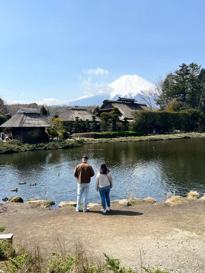 From Tokyo: Mount Fuji and Hakone Private Day Trip - Hakone Ropeway and cable car choices