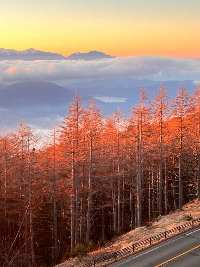 From Tokyo: Mount Fuji and Hakone Private Day Trip - Why a private Fuji and Hakone day makes sense