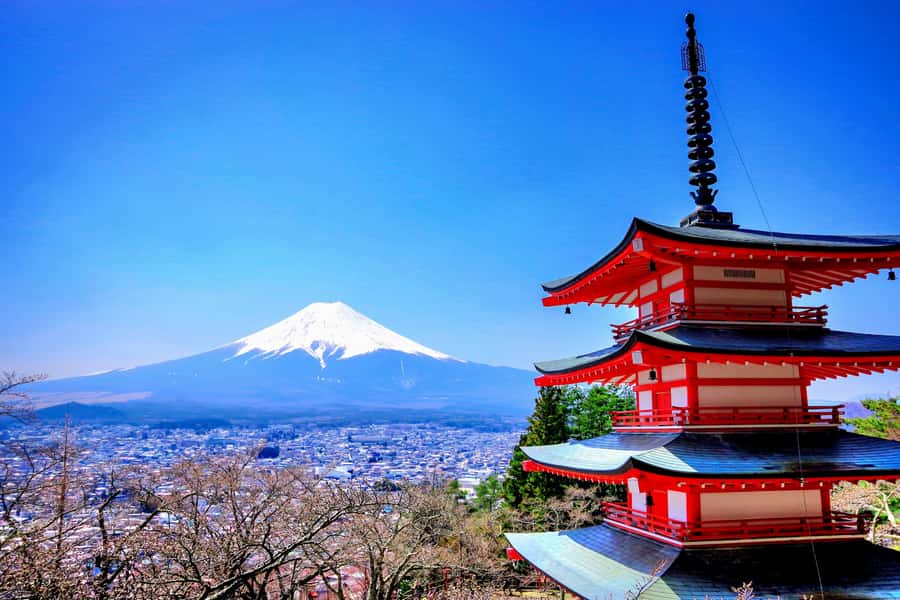 From Tokyo: Mount Fuji and Hakone Private Day Trip - Chureito Pagoda and Fujiyoshida views