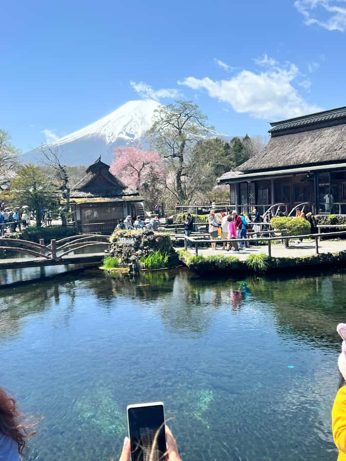 From Tokyo: Mount Fuji and Hakone Private Day Trip - Oshino Hakkai and its eight ponds