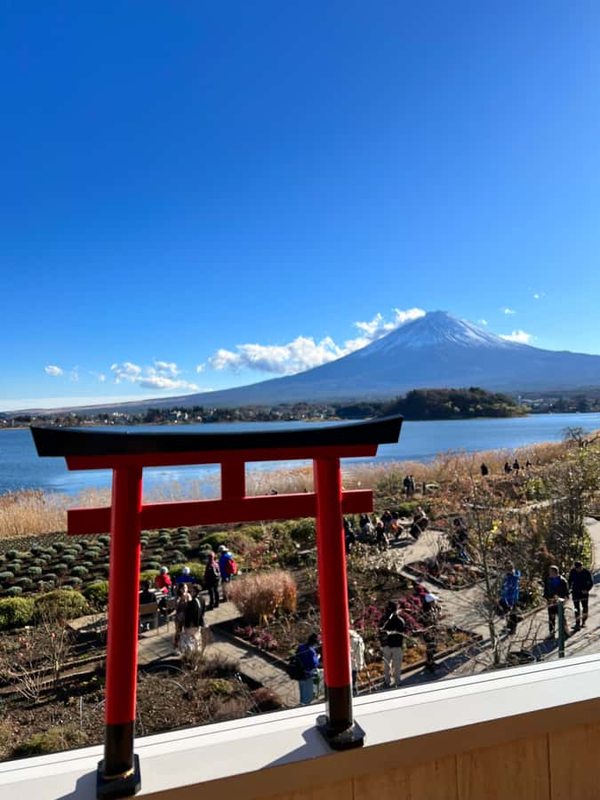 From Tokyo: Mount Fuji and Hakone Private Day Trip - Lake Kawaguchi and the best chance for Fuji photos