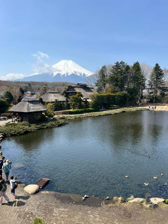 From Tokyo: Mount Fuji and Hakone Private Day Trip - Hakone, Lake Ashi, and the pirate boat