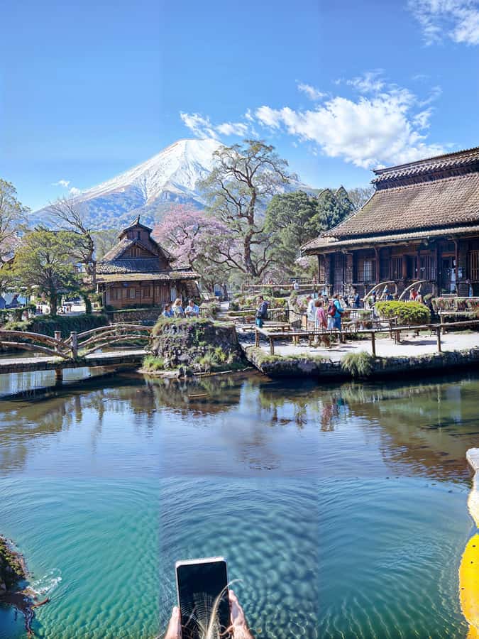 From Tokyo: Mount Fuji and Hakone Private Day Trip - Mount Fuji 5th Station at 2,300 meters