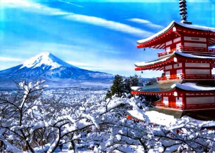 From Tokyo: Mount Fuji Full Customized Tour English Guide - Key points to know before booking