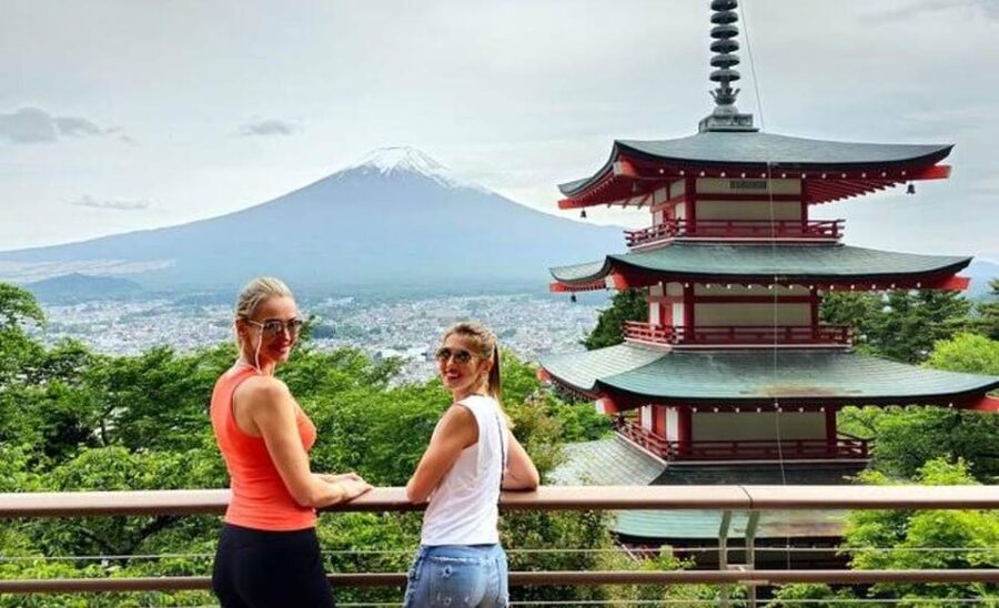 From Tokyo: Mount Fuji Full Customized Tour English Guide - Why a private Fuji day trip makes sense