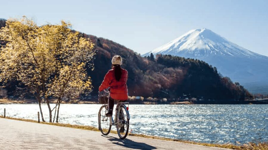 From Tokyo: Mount Fuji Full Customized Tour English Guide - Starting at Mount Fuji 5th Station