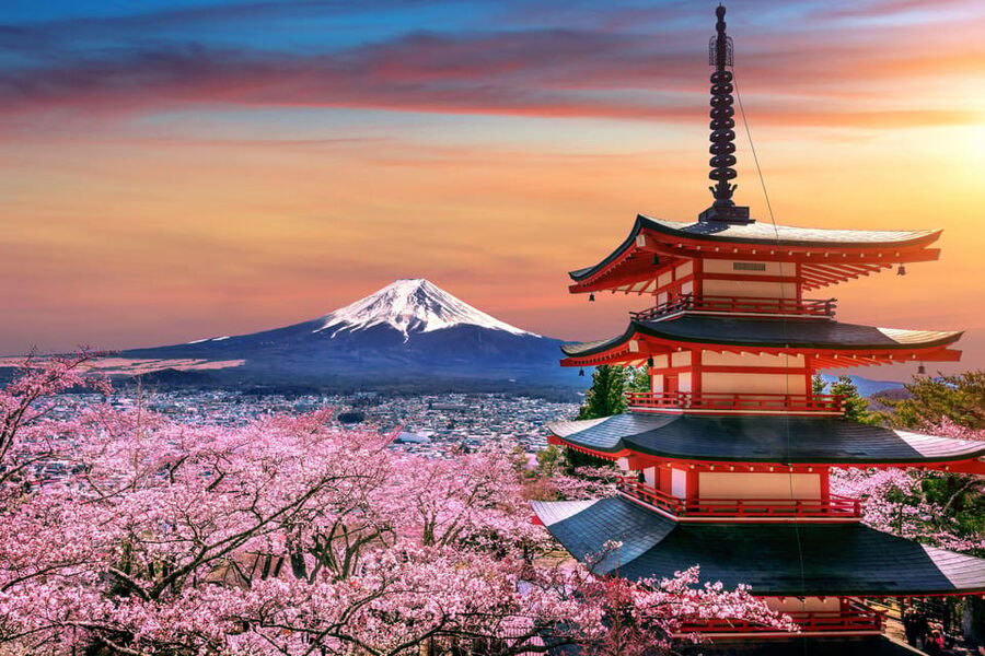From Tokyo: Mount Fuji Full-Day Customizable Private Tour - Key points to know before booking