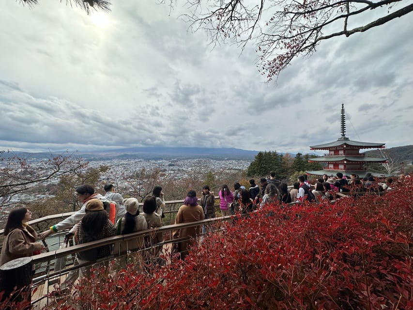 From Tokyo: Mount Fuji Full-Day Customizable Private Tour - What the $483 price really buys you
