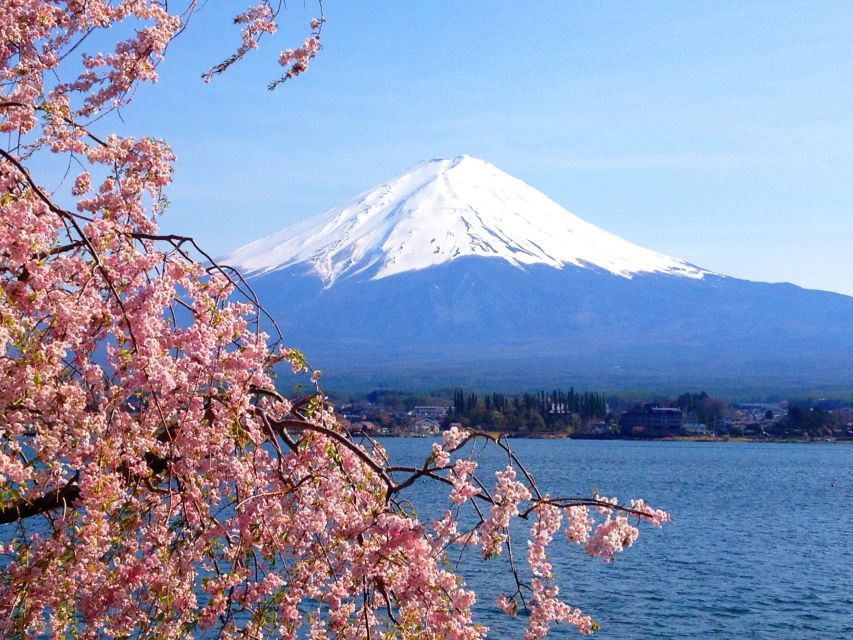From Tokyo: Mount Fuji Full-Day Customizable Private Tour - Who should book this Mount Fuji day trip?