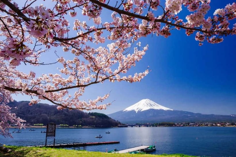 From Tokyo: Mount Fuji Full Day Private Customizable Tour - Key details before you book