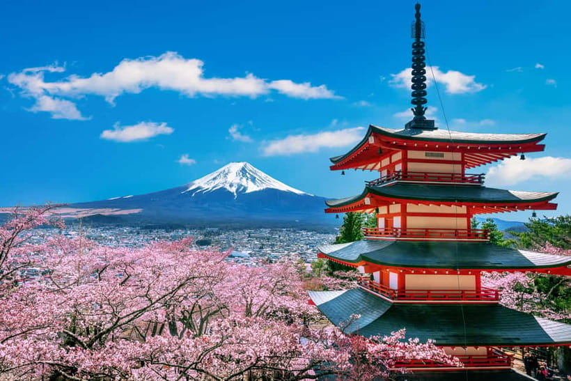 From Tokyo: Mount Fuji Full Day Private Customizable Tour - Why a private Fuji day trip works from Tokyo