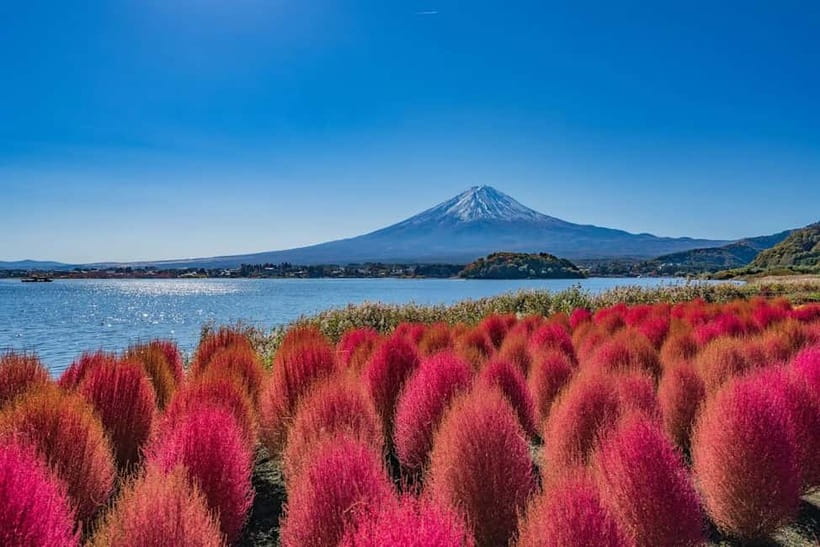 From Tokyo: Mount Fuji Full Day Private Customizable Tour - Oshino Hakkai, where water and old houses set the pace