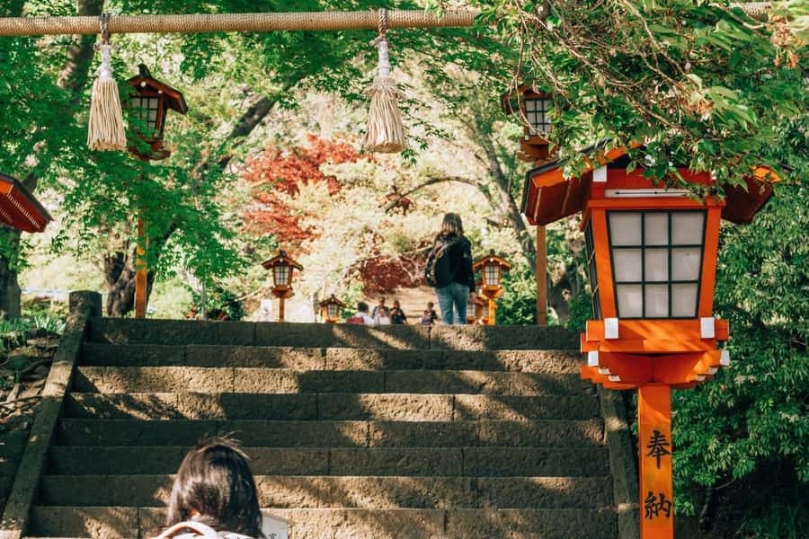 From Tokyo: Mount Fuji Full-Day Private Tour (Customizable) - Weather is part of the Fuji bargain
