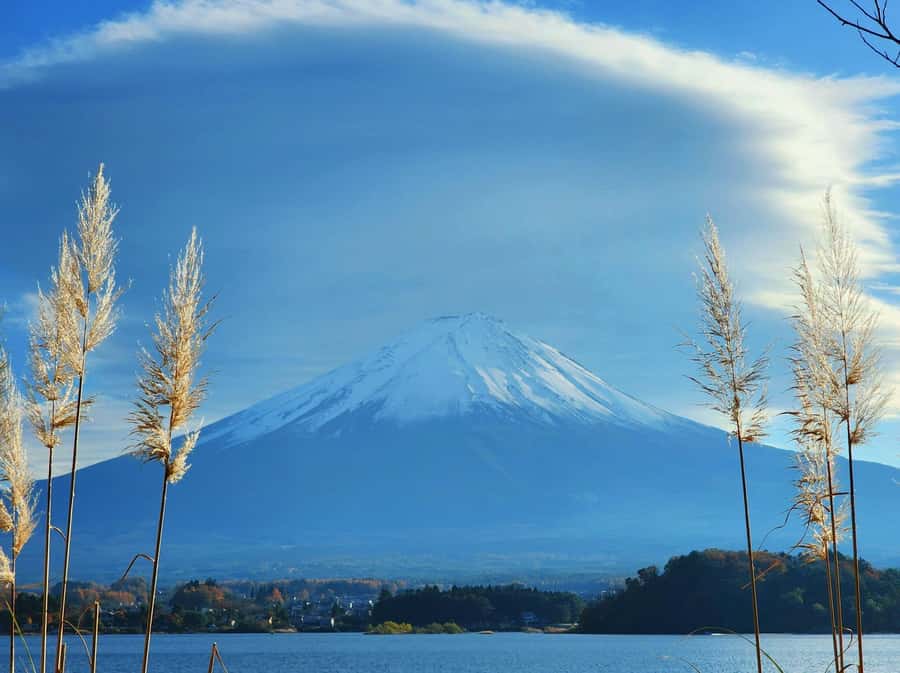 From Tokyo: Mount Fuji Full-Day Private Tour (Customizable) - Oshino Hakkai, spring water, and old-style village scenery