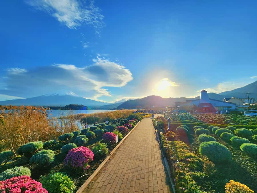 From Tokyo: Mount Fuji Full-Day Private Tour (Customizable) - Customizing the route without losing the day