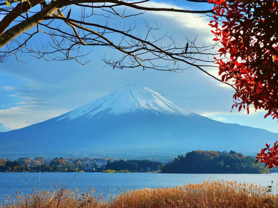 From Tokyo: Mount Fuji Full-Day Private Tour (Customizable) - Comfort, group size, and what is included