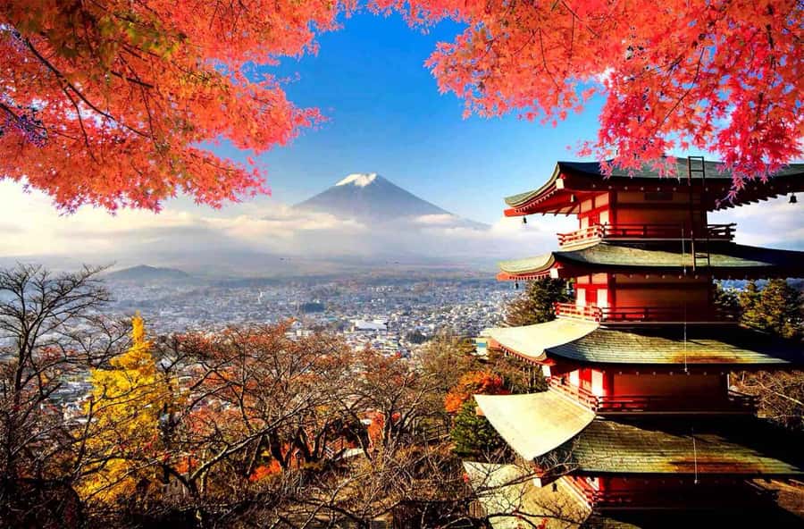 From Tokyo: Mount Fuji Full Day Private Tour English Guide - Key Points at a Glance