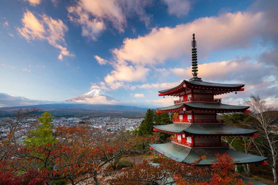 From Tokyo: Mount Fuji Full Day Private Tour English Guide - Why This Private Fuji Day Works Well From Tokyo