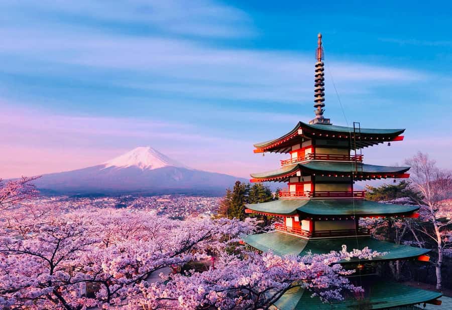 From Tokyo: Mount Fuji Full Day Private Tour English Guide - Oshino Hakkai’s Springs and Small Village Paths